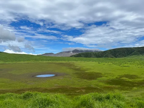 湖畔の緑が広がる空