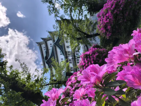 華やぐ城の風景