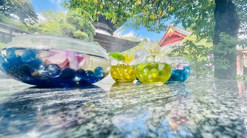 涼やかに輝く、水辺の宝石たち
