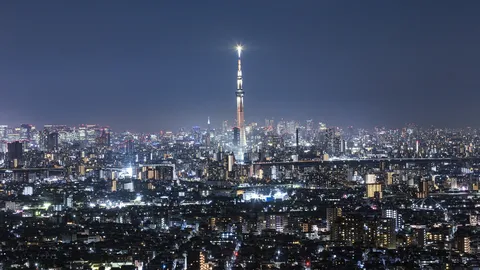 広がる夜景と輝くタワー