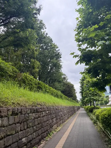 石垣と緑が続く道
