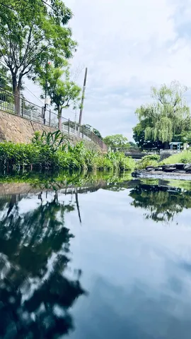 水面と緑のコントラスト