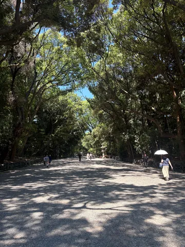 木漏れ日の長い道
