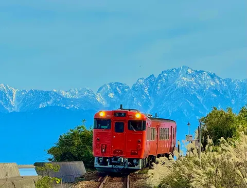 山に挑む、真っ赤な列車の勇姿