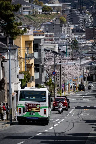 桜とバスが行き交う坂道