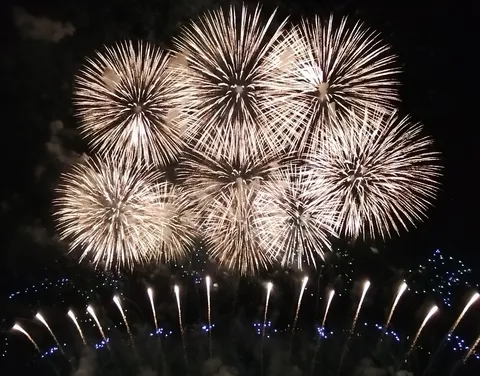 夜空に咲く光の花束！