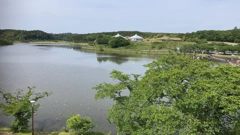 木陰の静かな鏡湖