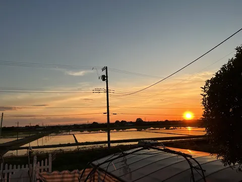 夕景と水鏡の田園