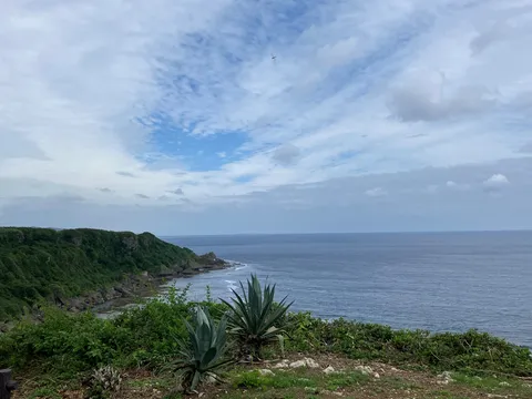 海風と緑のコントラスト