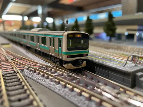 鉄路に揺れるミニの風景