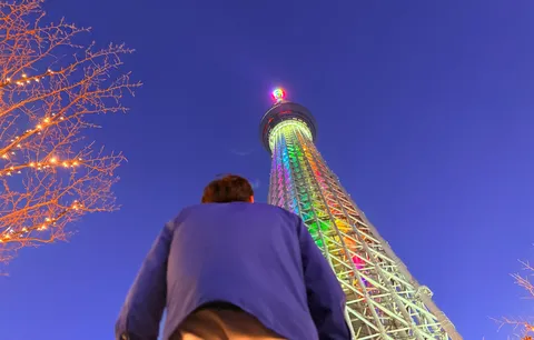 夜空に輝くタワーと灯る木々