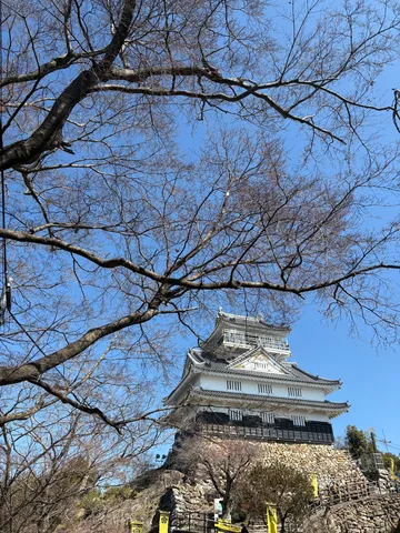 青空の城と冬の樹影