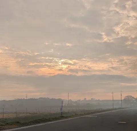 朝霧に包まれる、静かな道の風景