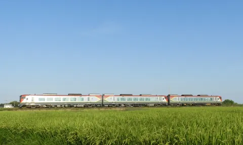 緑の絨毯を駆ける列車