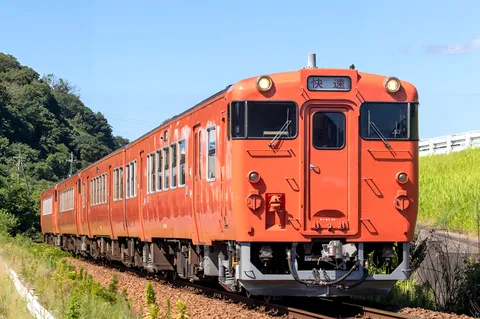 青空と緑に映える快速列車