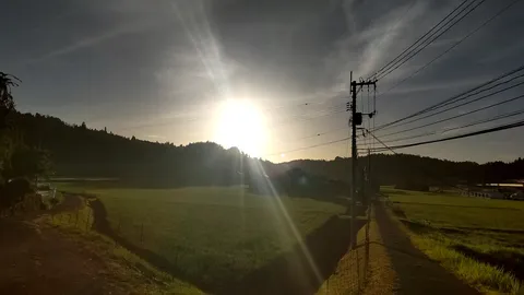 田園を照らす朝の光