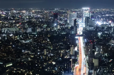 夜空に広がる光の絨毯