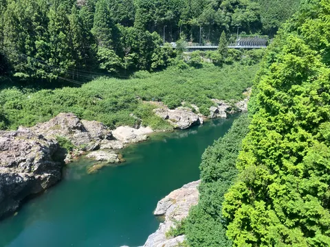 川の緑と岩のコントラスト