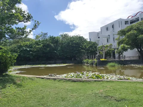 静かな池と白い建物の風景