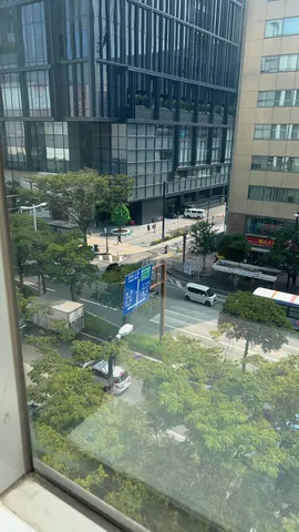 都市の緑陰、流れる日常