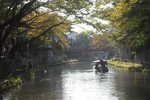木陰をゆく小さな水路旅