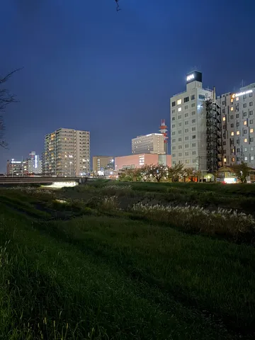 夜の川辺に灯る都会の息吹