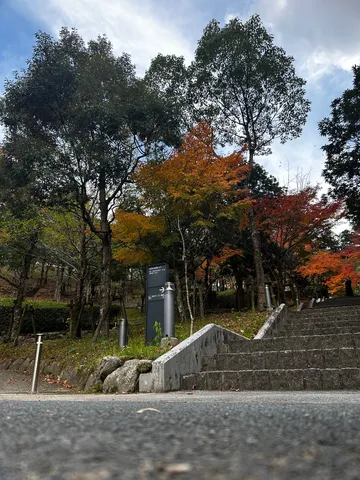 秋色の階段、静かな誘い