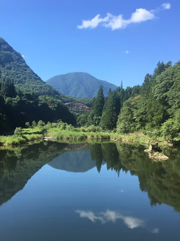 水面に映る豊かな自然