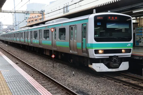緑の帯を走る朝の列車