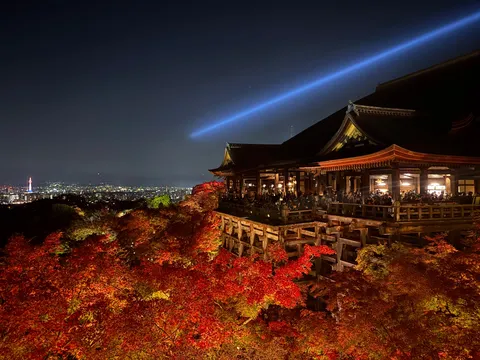 夜空を貫く光、古都の紅葉舞台