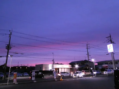 紫のグラデーションと電線