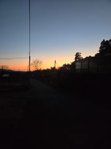 夕暮れの道、電線と木々