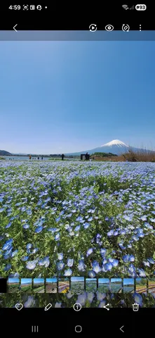 この青さ、富士山も脱帽！