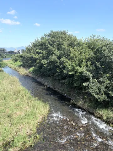 水路と木々の涼風