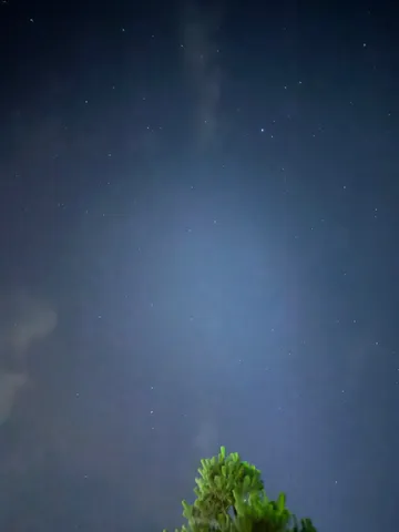 星降る夜空に瞬く木々の息吹