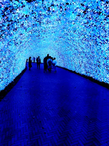 青い光が彩る幻想的なトンネル