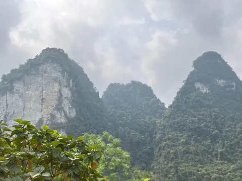 霧と山の静かな三連峰
