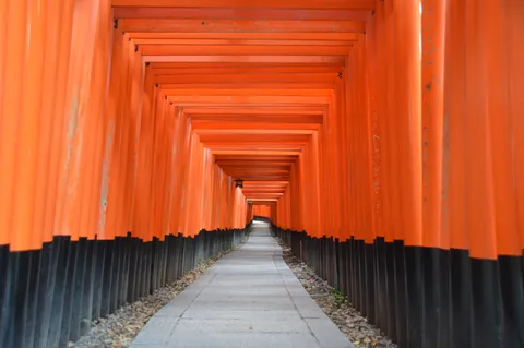 視線の先へ誘う朱色の回廊