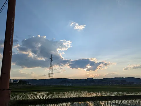 夕陽に照らされる田園風景