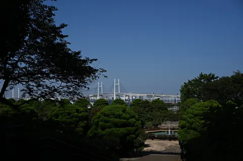 緑の木々と遠い橋、青い空