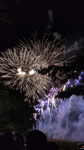 夜空に咲く、光の花束