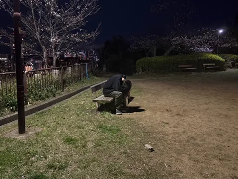 夜桜とベンチの孤独