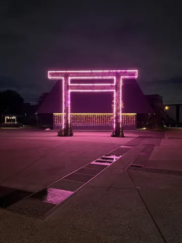ネオンの鳥居、夜の道