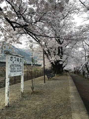 花より団子？いや、花より看板！
