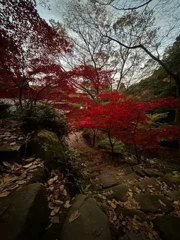 深紅に染まる、秋の小道