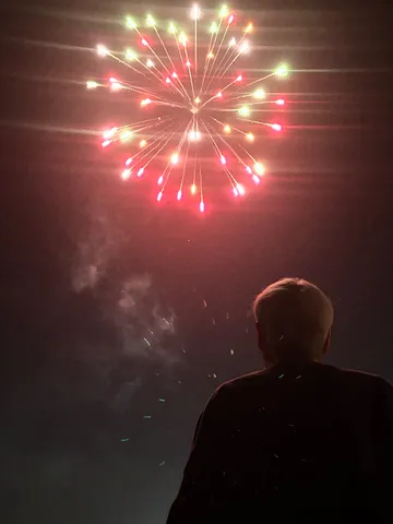 夜空を彩る花火と静かなる鑑賞者