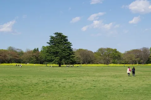 新緑と空の画布