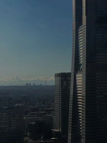 高層ビル群の壮大な眺め