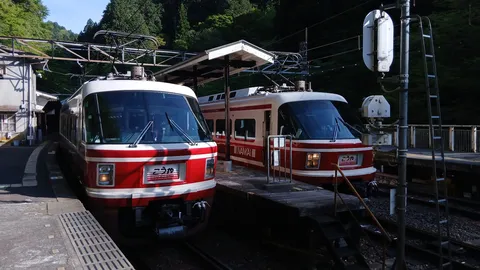 山間の駅に佇む列車たち