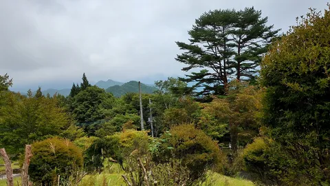 山並みに溶け込む緑のコントラスト